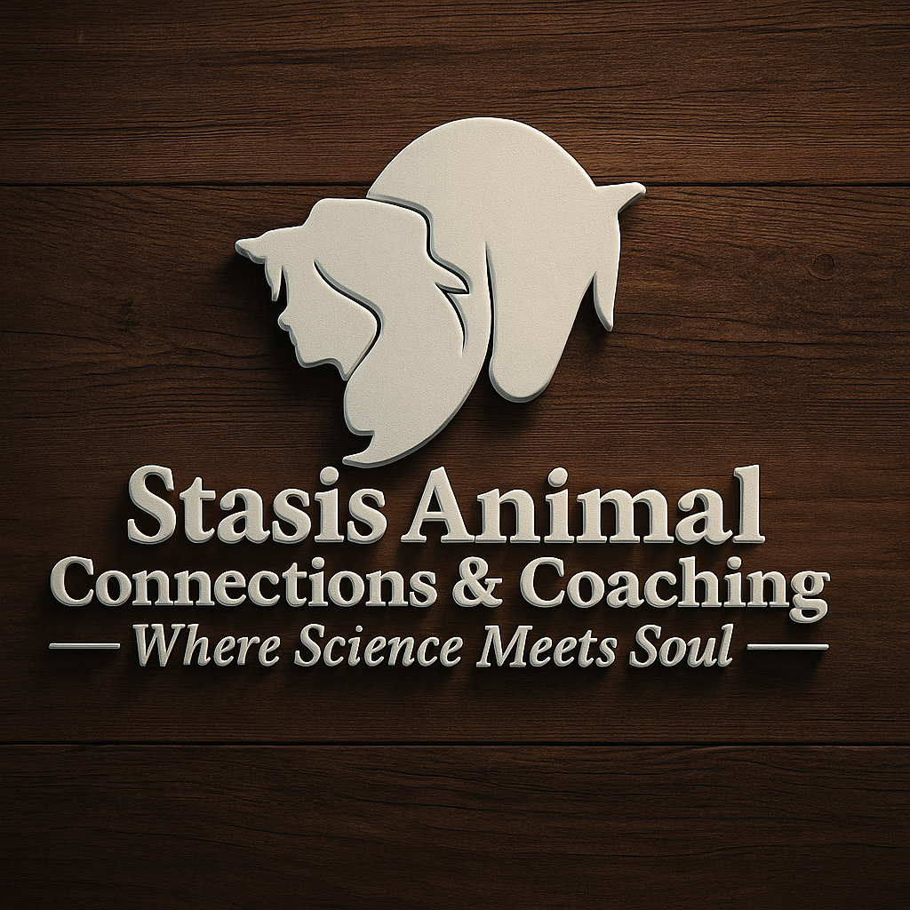 Connect with Yourself Experience