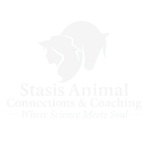 Stasis Animal Connections & Coaching | Where Science Meets Soul 