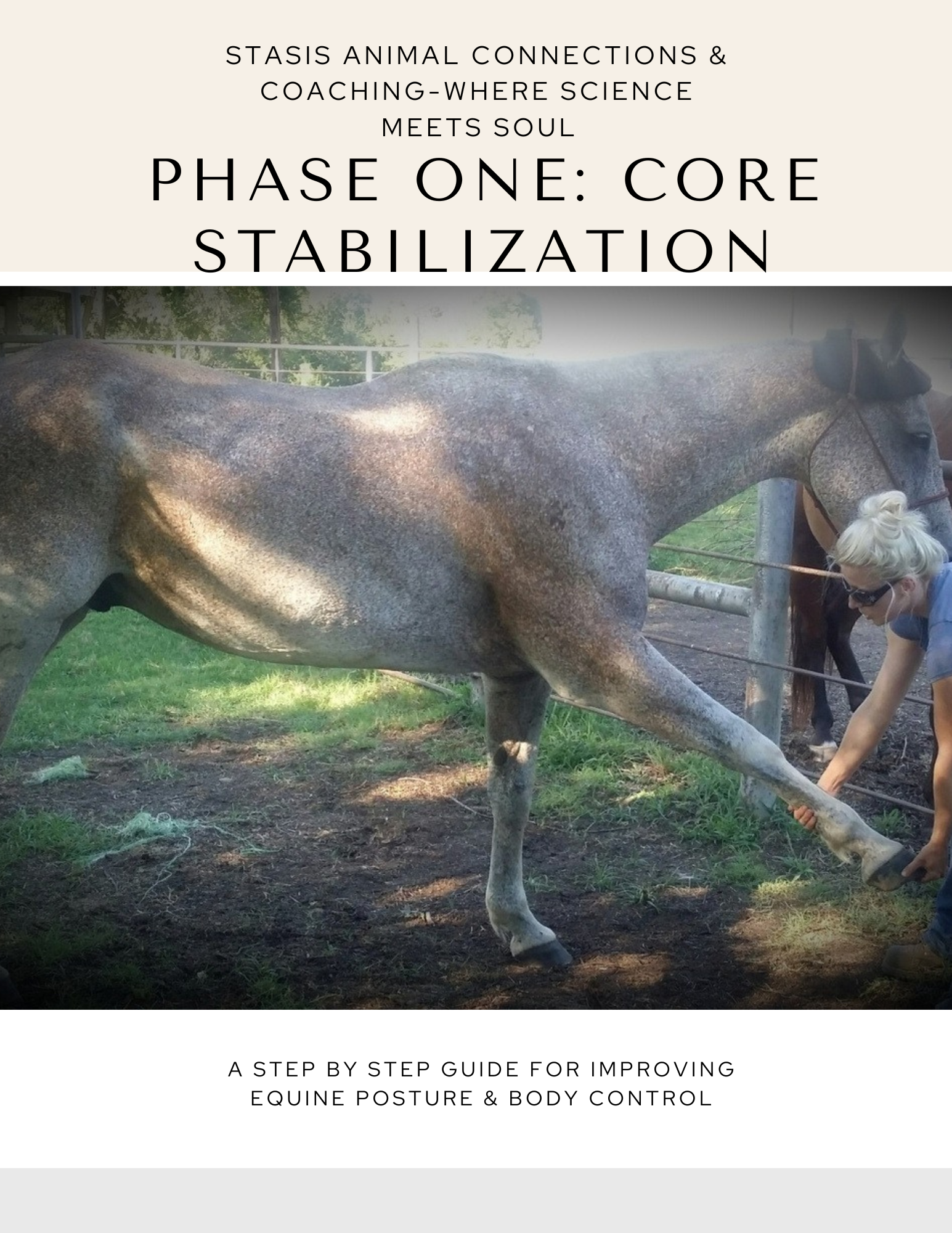 Phase 1: Core Stabilization