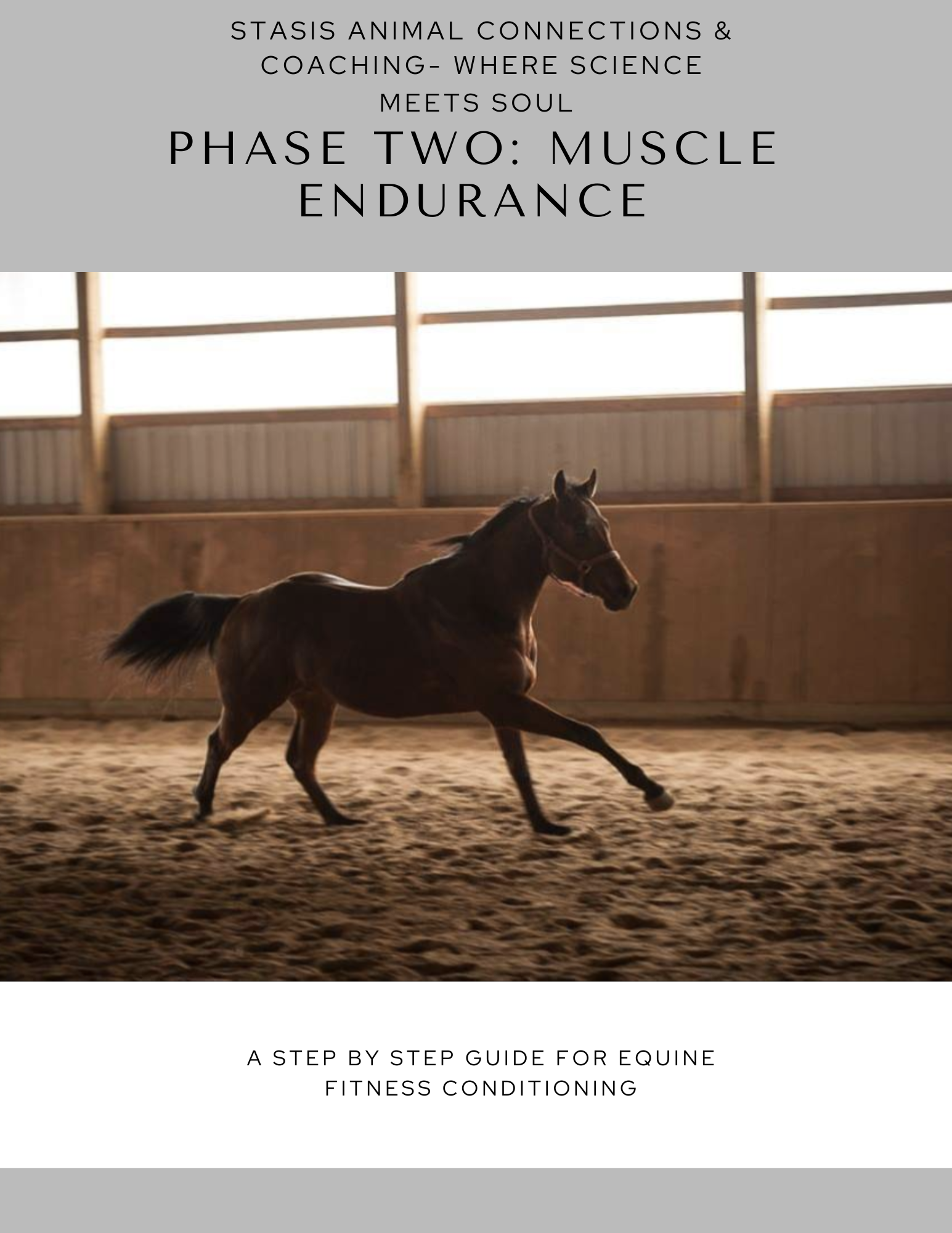 Phase 2: Muscle Endurance